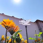 Csobogó Apartman *