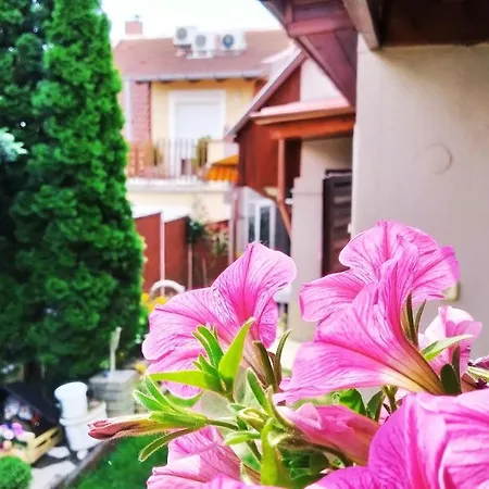 Csobogo Vendeghaz Apartment